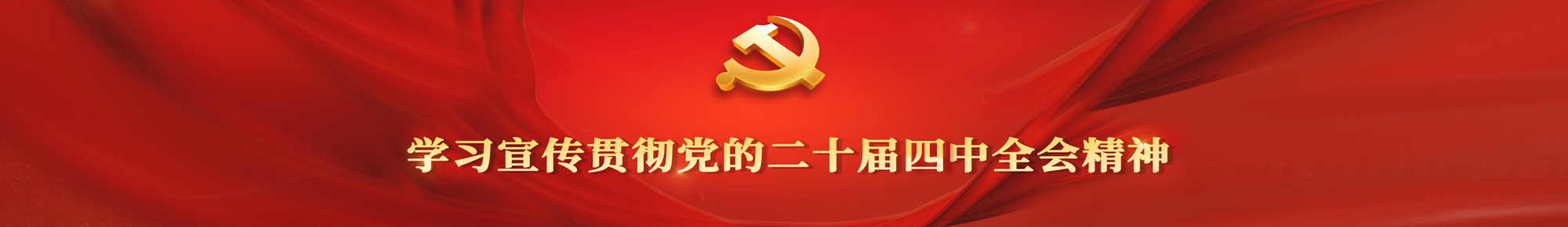 学习宣传贯彻党的二十届四中全会精神